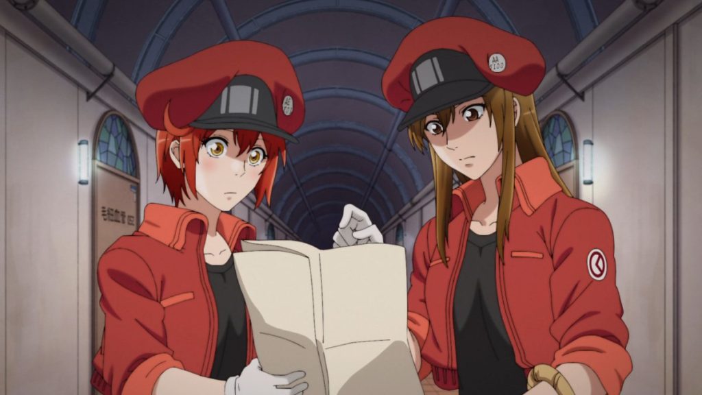 Cells At Work Season 3