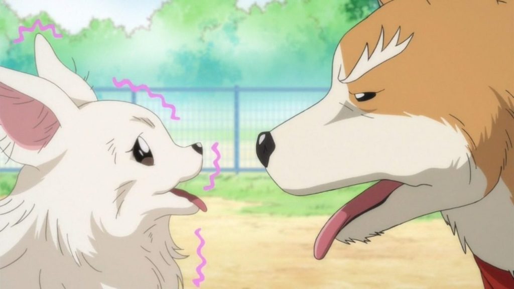 Oda Cinnamon Nobunaga Season 2
