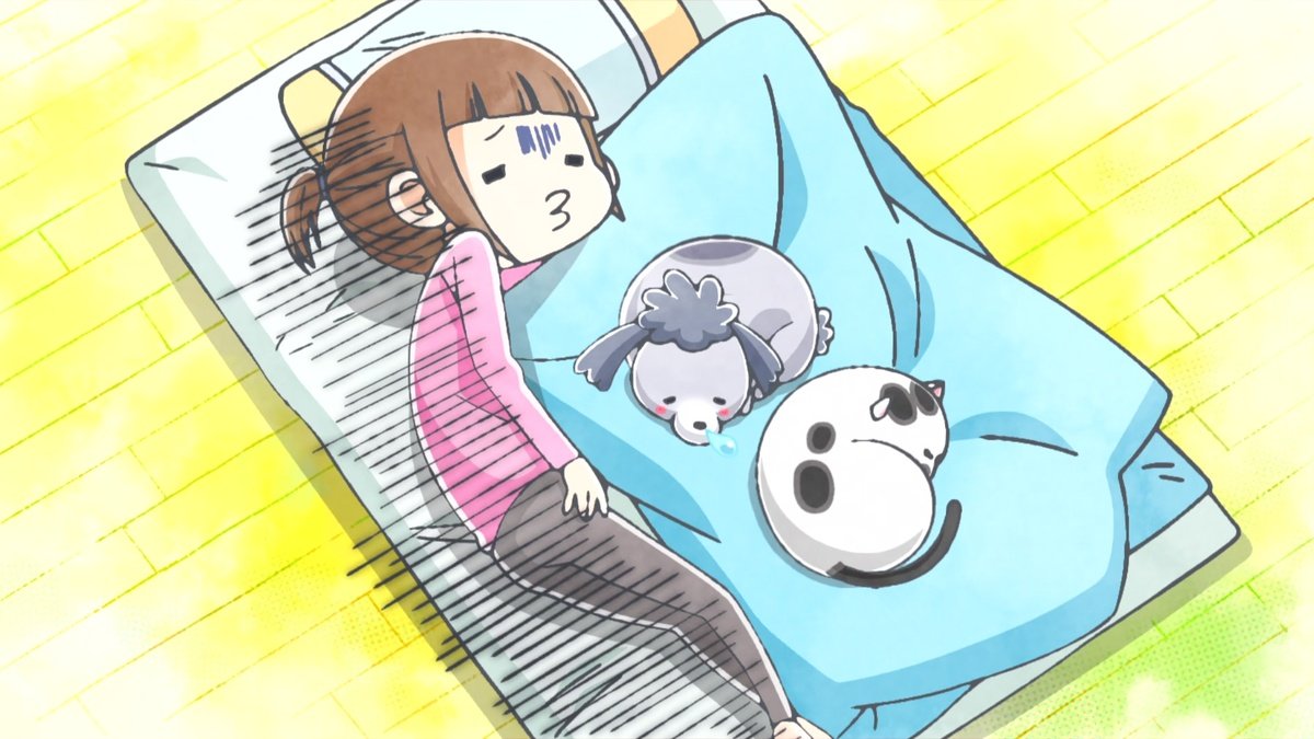 With a Dog AND a Cat, Every Day is Fun Season 2