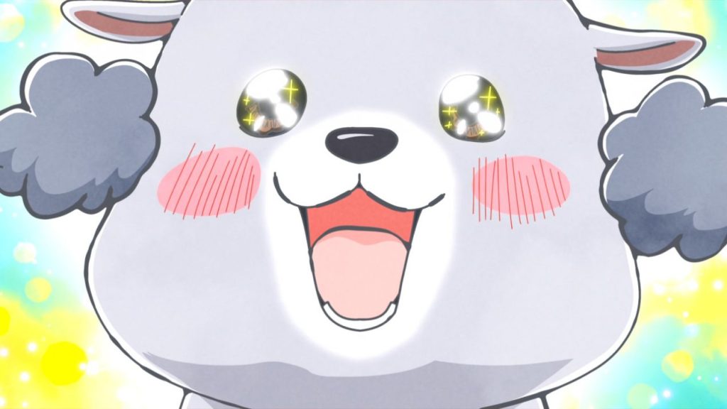 With a Dog AND a Cat, Every Day is Fun Season 2