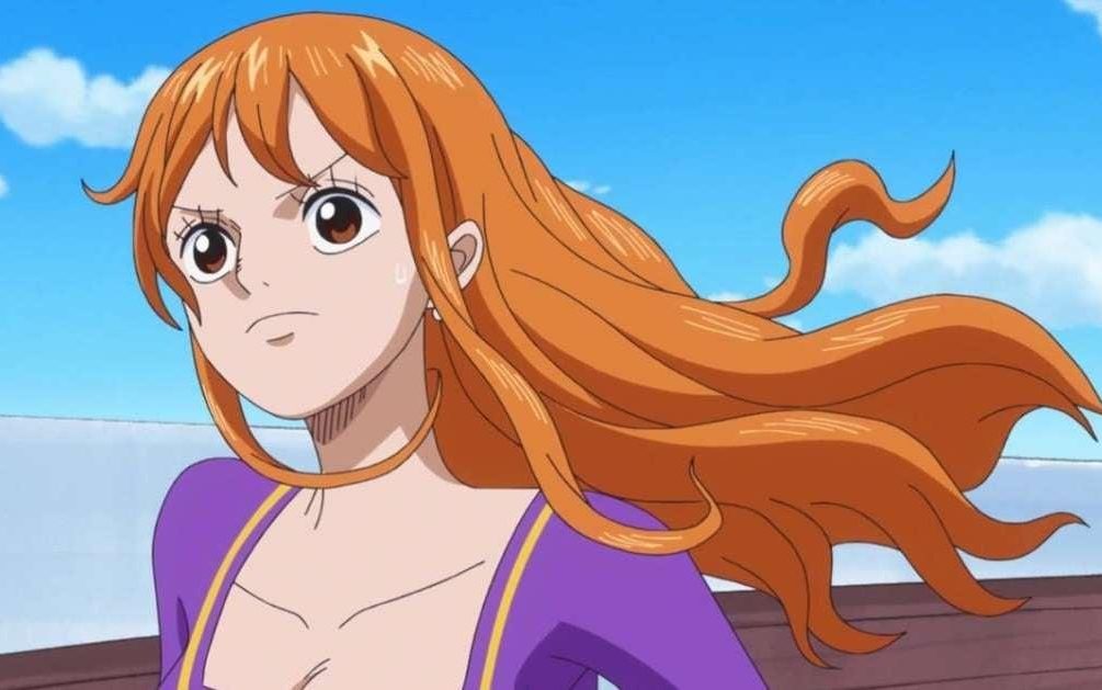 One Piece Chapter 1030