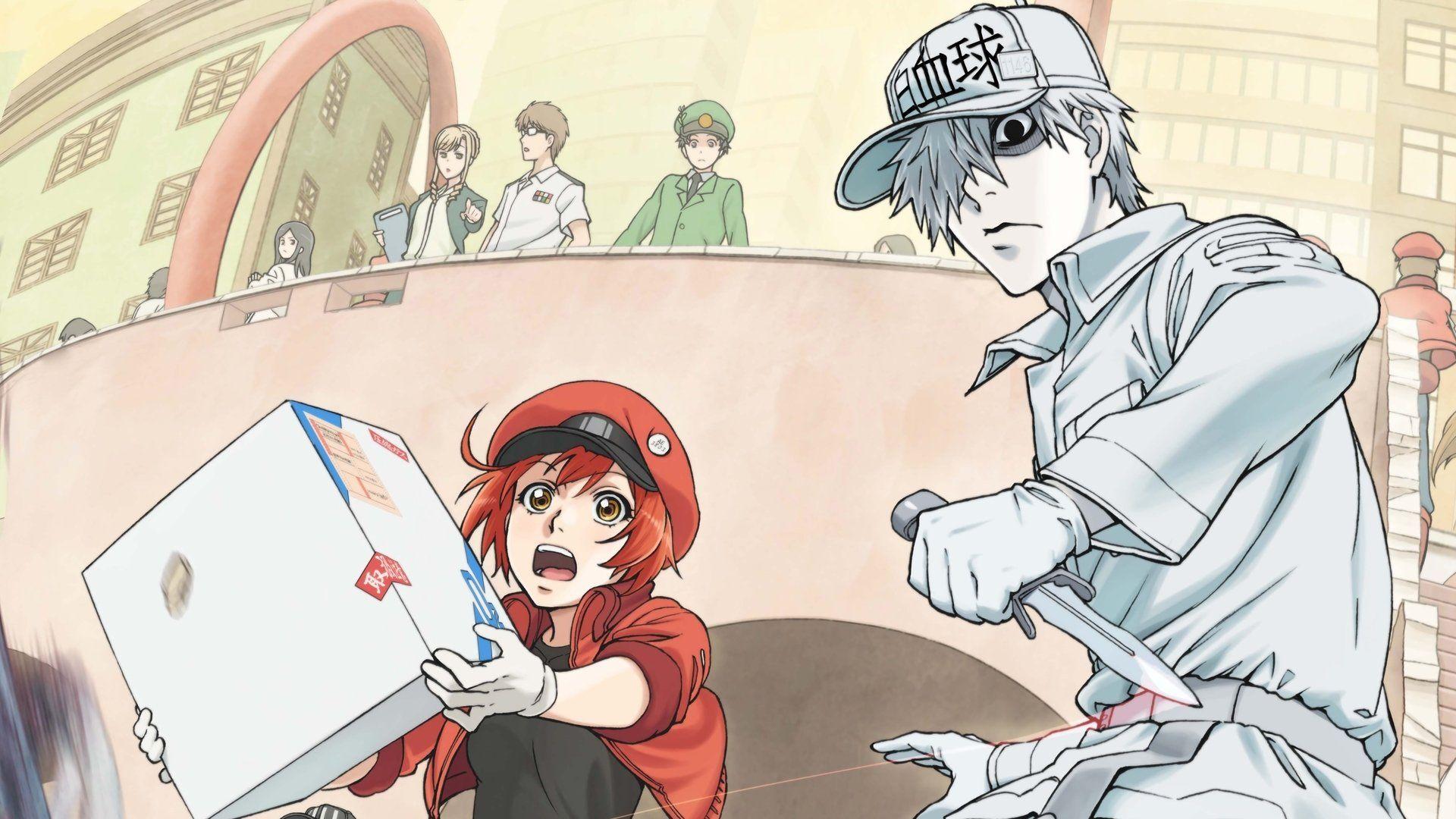 Cells At Work New Manga