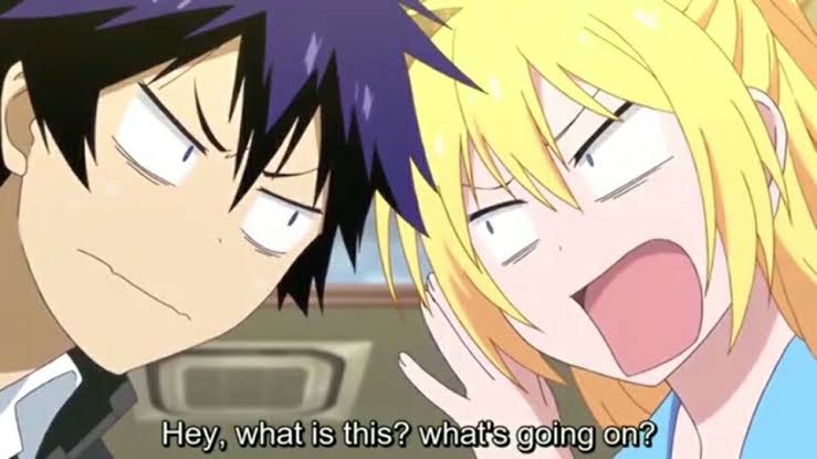 Romance Anime - Nisekoi
