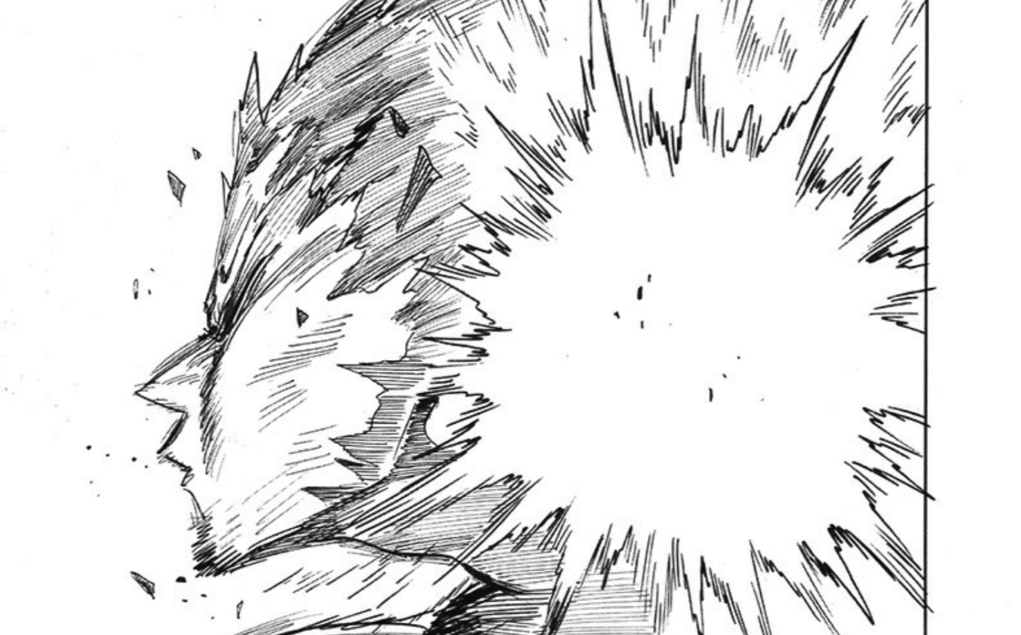 One Punch Man Chapter 170