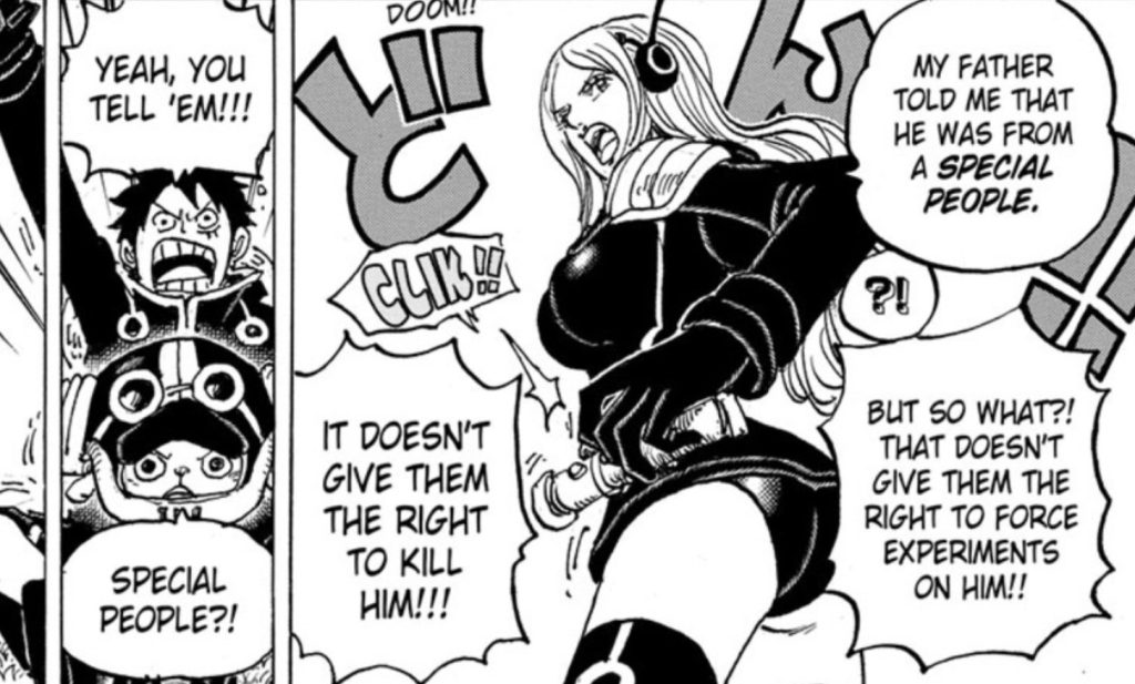 One Piece Chapter 1065 