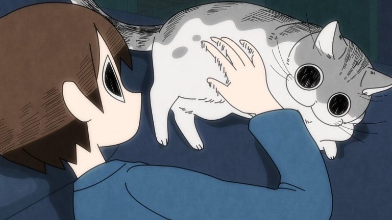 nights with a cat episode 22
