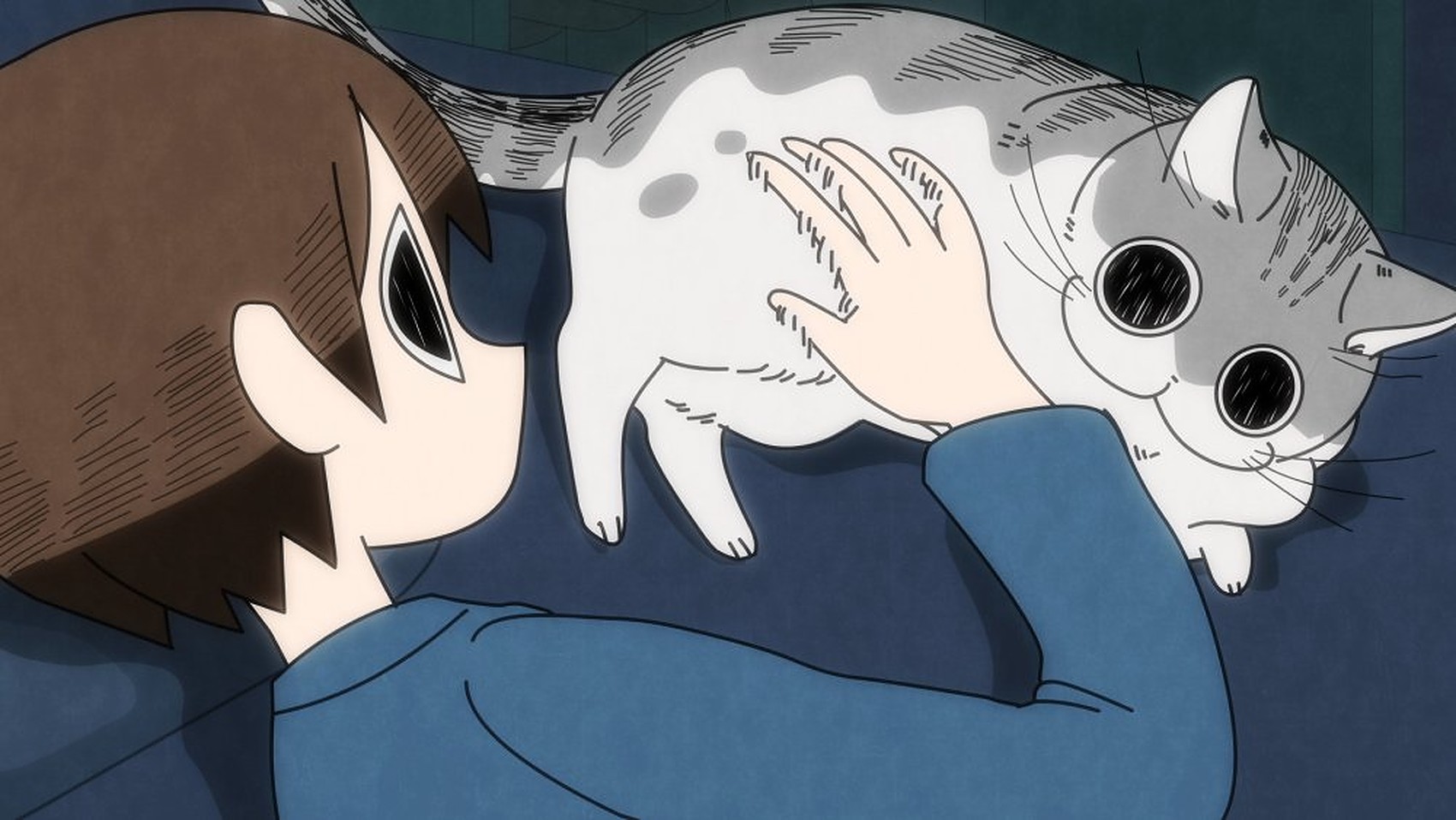 nights with a cat episode 22