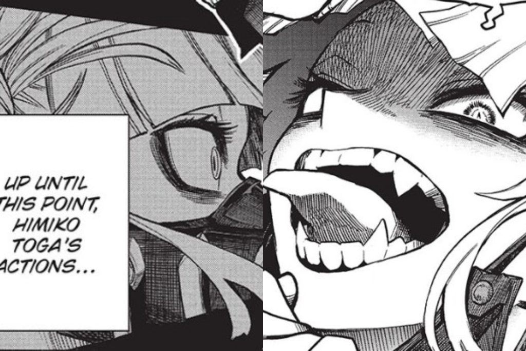 My Hero Academia Manga 