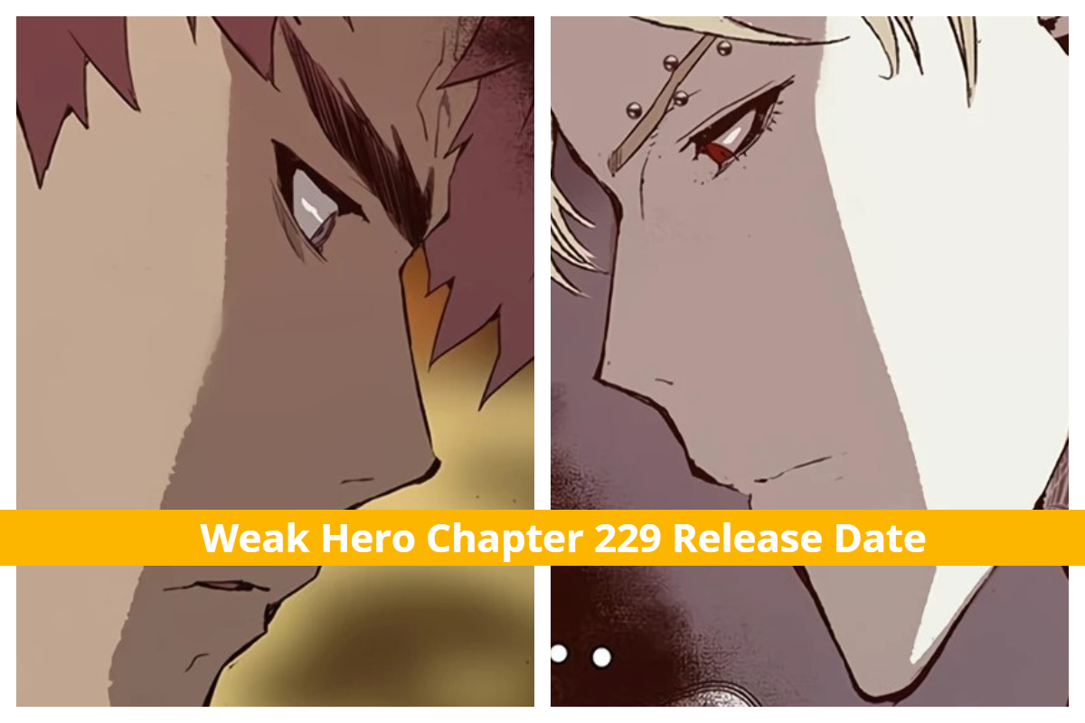 Weak Hero Chapter 229
