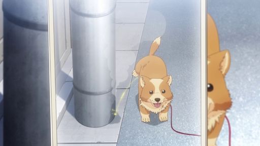My Life as Inukai's Dog Episode 7 teaser