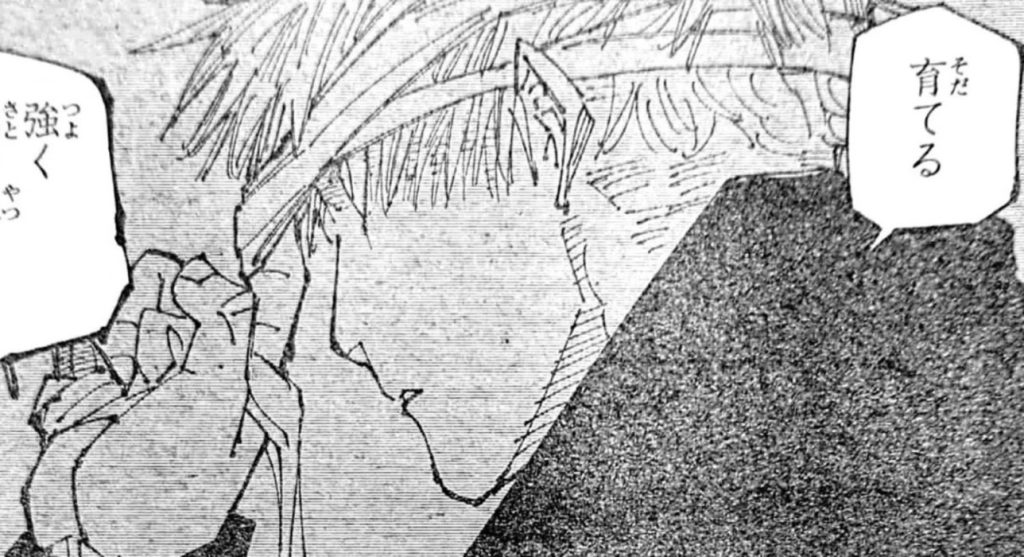 jujutsu kaisen chapter 220