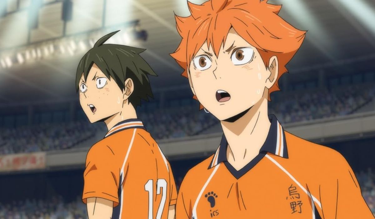 Haikyuu Season 5 Renewed 